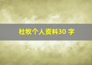 杜牧个人资料30 字